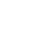 Knee Arthroscopy