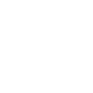 Shoulder Arthroscopy