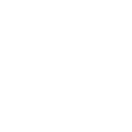 Hip Replacement